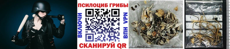 наркошоп  Лабинск  Галлюциногенные грибы ЛСД 