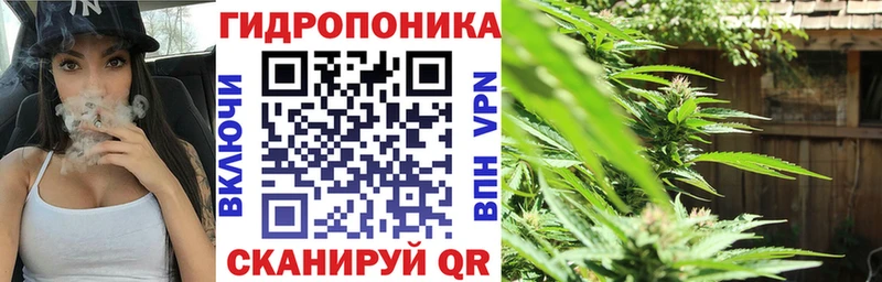 Бошки марихуана гибрид  где купить наркоту  Лабинск 